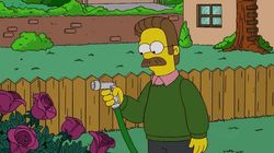 The Bob Next Door